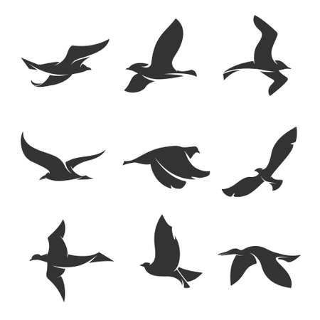 set of silhouettes of birds in motion on a white backgroundのイラスト素材