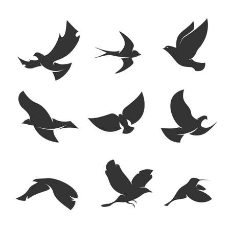 set of silhouettes of birds in motion on a white backgroundのイラスト素材