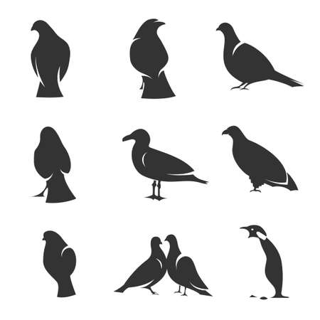 set of silhouettes of birds in motion on a white backgroundのイラスト素材