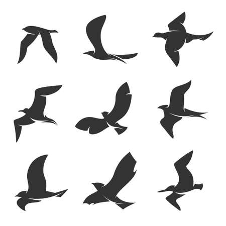 set of silhouettes of birds in motion on a white backgroundのイラスト素材