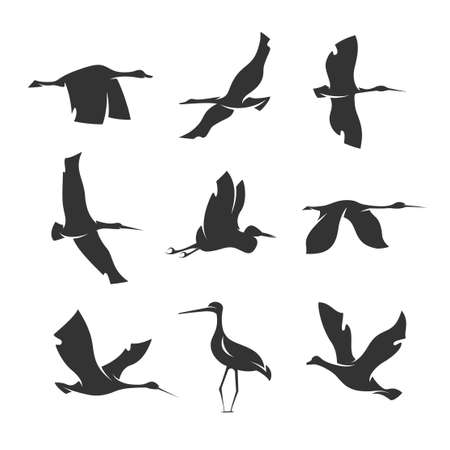 set of silhouettes of birds in motion on a white backgroundのイラスト素材