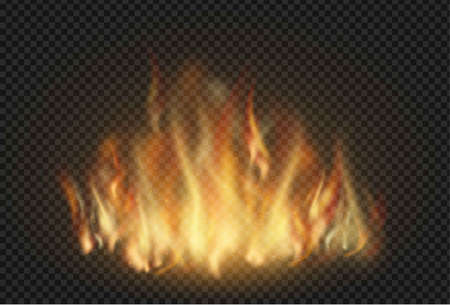 Forks of flame realistic vector illustrations set.のイラスト素材