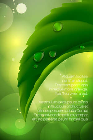 Water drops on fresh green grass, realistic vector illustration. Vector illustrationのイラスト素材
