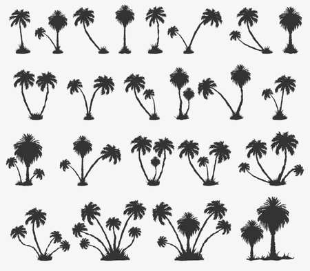 Vector set of solar palm beach in a dark color. Vector illustrationのイラスト素材