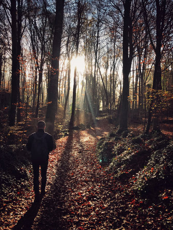 man in the forest with sunbeamsの写真素材