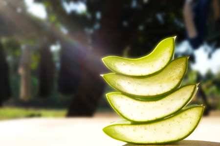 Aloe vera sliced on wood in natural background.の写真素材