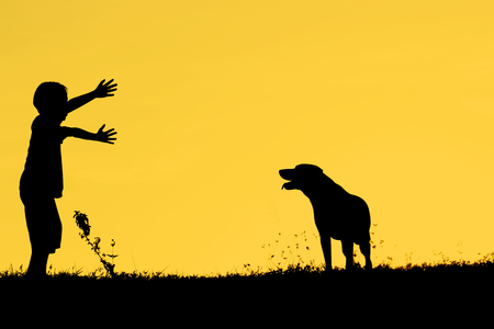 A silhouette of a little child boy playing with dog at sunset.の写真素材