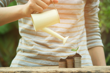 Watering can and plant tree, coin and green growing plant on old wood tree bokeh background.concept save money.の写真素材