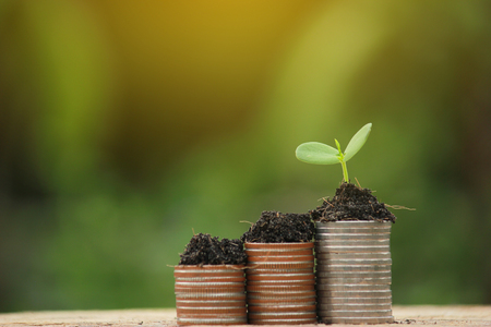 coin and green growing plant on old wood tree bokeh background.concept save moneyの写真素材