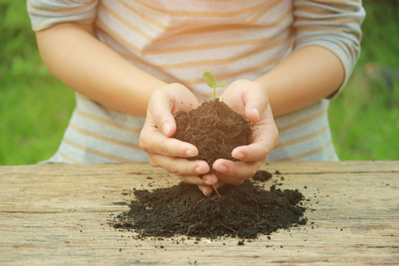 Women planted tree into the soil, to create a living.の写真素材