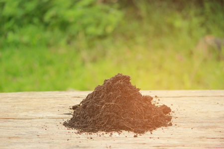 Soil for planting seedlings.の写真素材