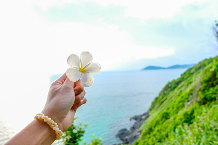 A white Plumeria on hand young women with sea horizon with rocky shore cliffs and sunset background.の写真素材