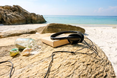 Sea shells Starfish On the rocks , background Summer, vacation travel icon.の写真素材