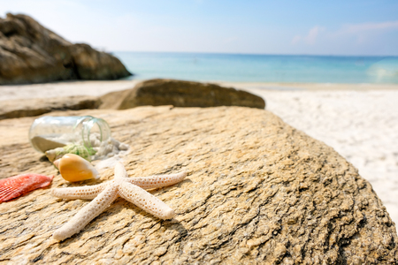 Sea shells Starfish On the rocks , background Summer, vacation travel icon.の写真素材