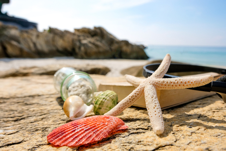 Sea shells Starfish On the rocks , background Summer, vacation travel icon.の写真素材