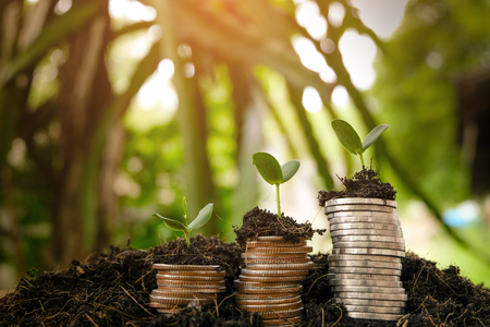 Money growth in soil . While seedlings are growing on pile of coins. Concept finance investment.の写真素材