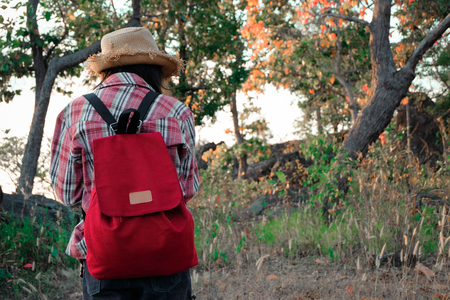 Traveler young girl with backpack walking on path in the tropical forest, Relax time on holiday concept travel, Thailand.の写真素材
