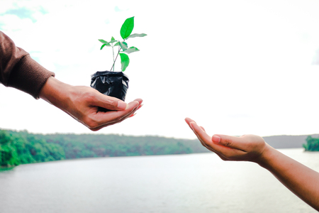 Seedling growing from fertile soil was gently encircled with hands, Concept of environmental conservation and protection of our world sustainable.の写真素材