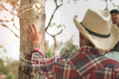 Hand placed on the trunk of a big tree with icons about environment on image , Concept of environmental conservation and protection of our world sustainable.の写真素材