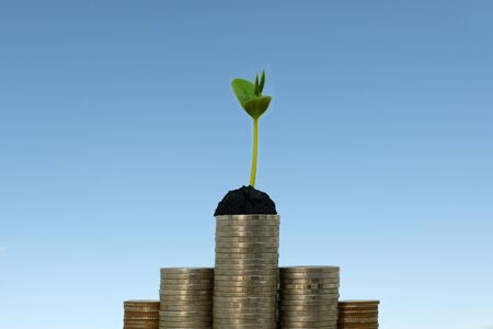 money stack step up growing growth saving money, While seedlings are growing on pile of coins. ideas...