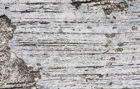horizontal design on outdoor polished cement and concrete texture for pattern and background