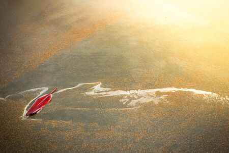 Top view red leaf on brown sand in sea water. Summer beach background. Romantic soft gentle artistic from nature. free space for text.の写真素材