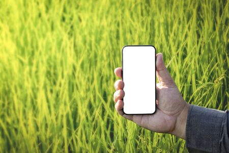 Smart technology with Internet of things (IoT) futuristic agriculture concept : business man use smart phone analysis report all situation with one finger click on digital holographic screen, clipping pathの写真素材