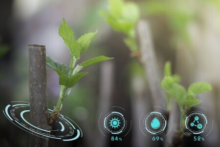 Smart technology with Internet of things futuristic agriculture concept. Analysis report with one finger click on digital screen. free space for text.  Blurred gentle artistic nature  backgroundの写真素材
