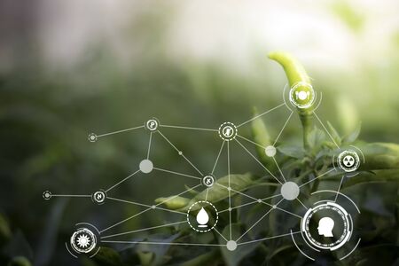 Smart technology with Internet of things futuristic agriculture concept. Analysis report with one...