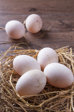 Fresh eggs in the nest on wood tableの写真素材