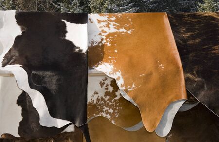 Homemade cow skins selling on the market standのeditorial素材