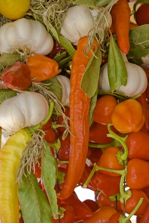 Colorful vegetables background close up. Garlic and pepperの写真素材