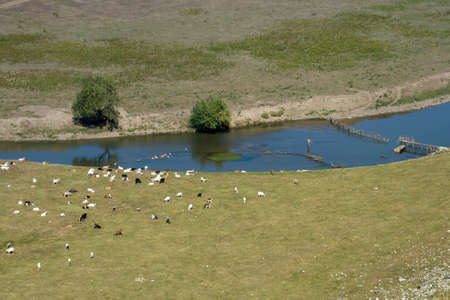 Country idyll landscape with river, sheep graze and fisherman in Moldovaの写真素材