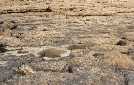 A natural surface of a stone beachの写真素材