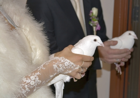 White pigeons in hands of a just married coupleの写真素材