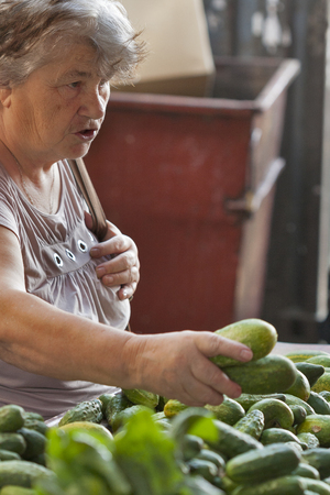 ODESSA, UKRAINE - AUGUST 25: Unknown elderly gray woman buys cucumbers at the local food market on August 25, 2013 in Odessa, Ukraine.のeditorial素材