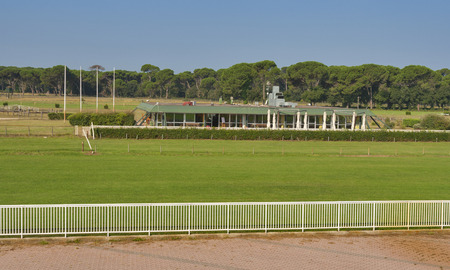 Horse racing track with turf courseのeditorial素材