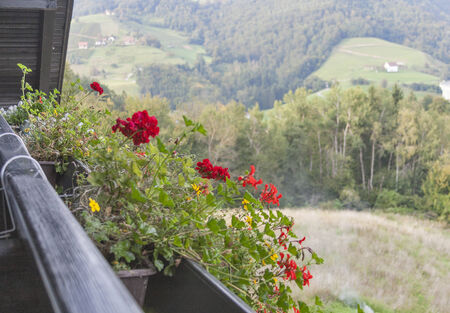 Slovenia mountains rural landscape. View from the balcony with flowers.の写真素材