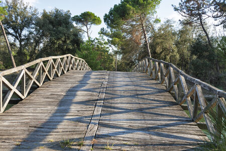 Old wooden bridge over the channel of San Rossore Regional Park, Tudcany, Italyの写真素材