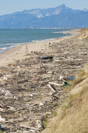 global pollution. sea beach, Tuscany, Italyの写真素材