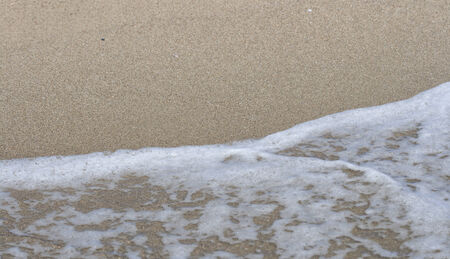 sea sandy beach water edge closeup