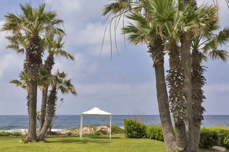 Mediterranean Sea palm beach with small pavilion for celebrations, Cyprusの写真素材