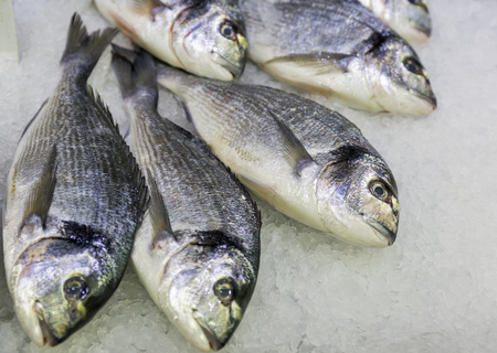Fresh bream or dorade on ice at the seafood booth closeupの写真素材