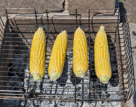 roasted sweet corns on the grill closeupの写真素材