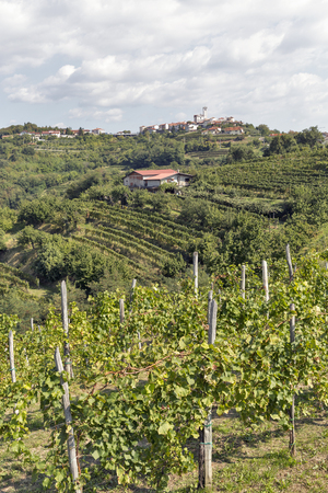 Picturesque rural mediterranean landscape with village, vineyards and mountainsの写真素材