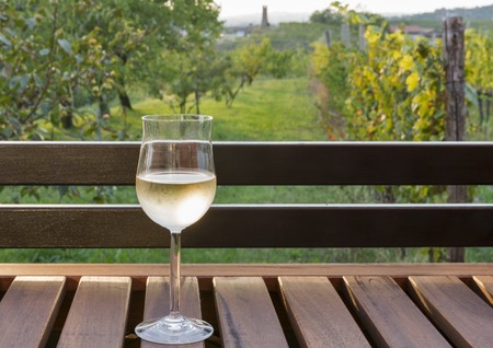 Glass of white wine on wooden table with blurred picturesque mediterranean view in background. Brda...