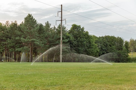 Automatic garden lawn sprinkler in action watering grass in evening.の写真素材