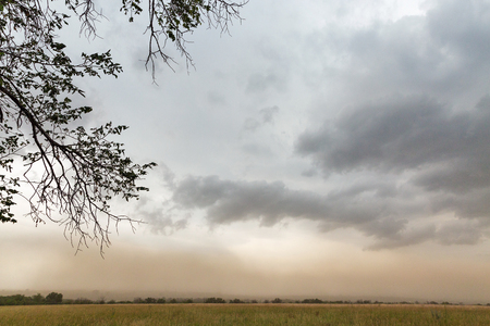 Thunder sky over summer landscape on Khortytsia island, Ukraineの写真素材