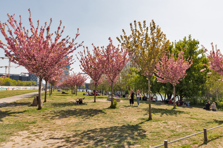 BERLIN, GERMANY - APRIL 18, 2019: People visit sping blooming garden close to Wall barrier and East Side Gallery, international memorial for freedom along Spree river at sunny day.のeditorial素材