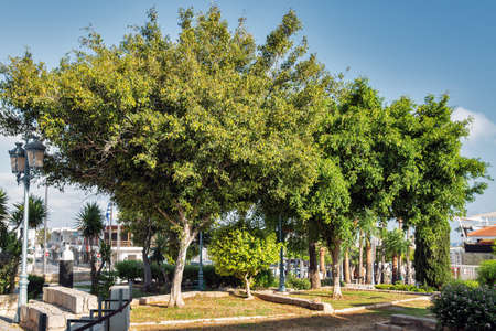 Central park near Ayia Napa Monastery, Cyprus.の写真素材